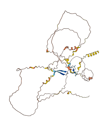FAM90A5P 3D structure