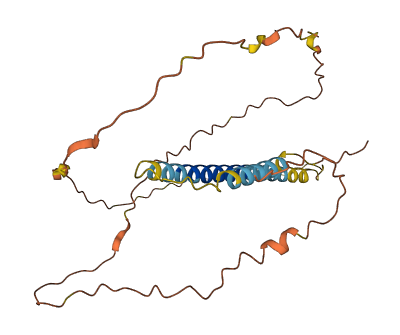 CDRT15L2 3D structure