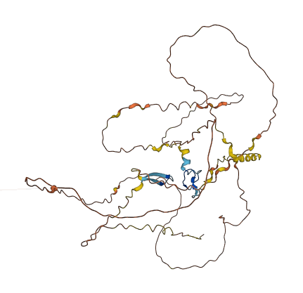 FAM90A23P 3D structure
