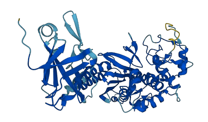 LACTBL1 3D structure
