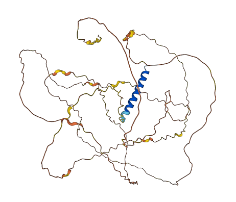 CXorf49 3D structure