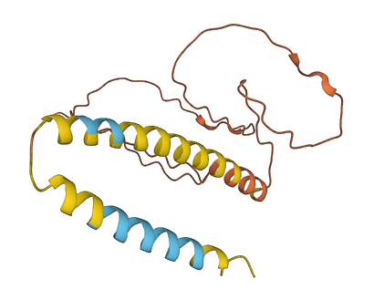 FAM25E 3D structure