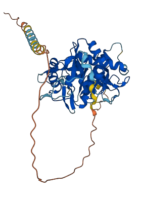 MINDY4B 3D structure