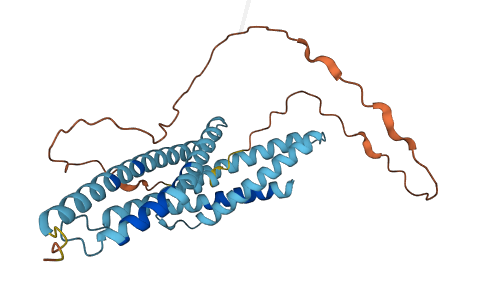EVPLL 3D structure