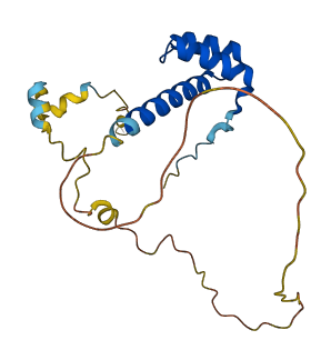 LEUTX 3D structure