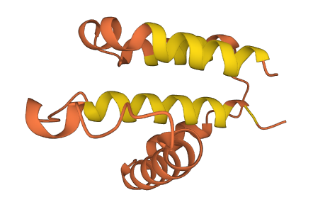 Esp22 3D structure