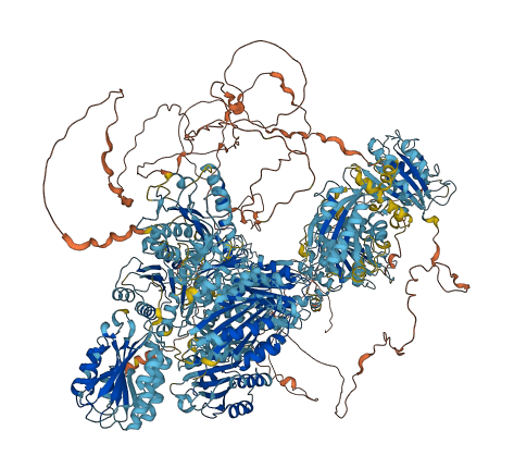 COL6A5 3D structure