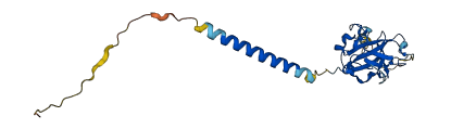 UPK3BL1 3D structure