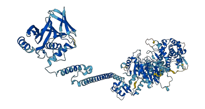 MYO1G 3D structure