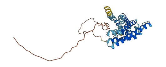 HACD1 3D structure