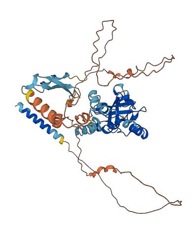 ISM1 3D structure