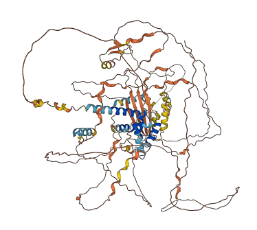 NUTM2E 3D structure