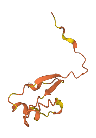 LINC00587 3D structure