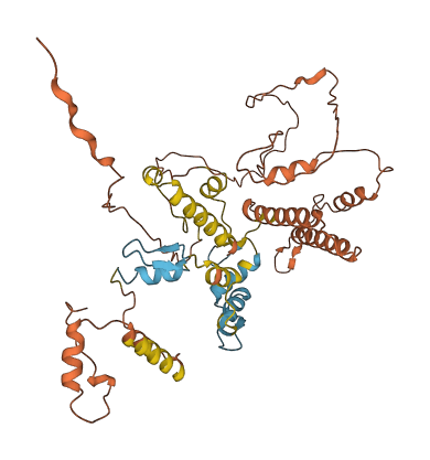 ZNF487 3D structure