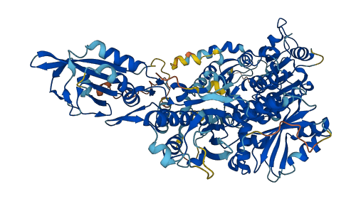 Slfn9 3D structure