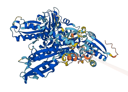 Slfn8 3D structure