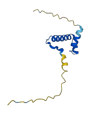 Ssxa1 3D structure