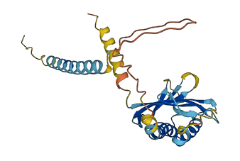 H60b 3D structure