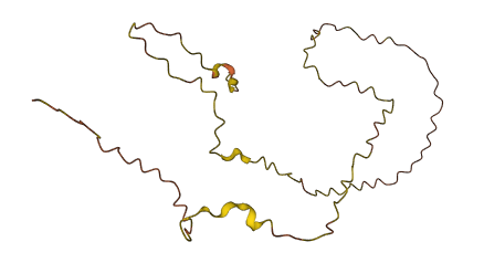 KLLN 3D structure