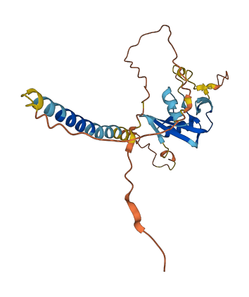 Klri1 3D structure