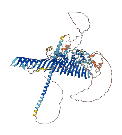 RSPH10B2 3D structure