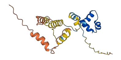 CENPBD1 3D structure