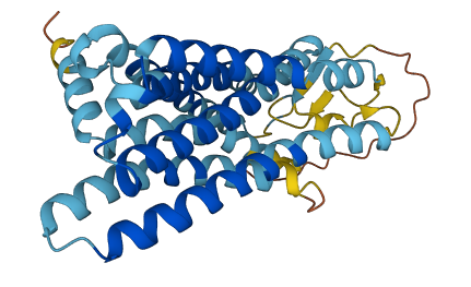 OR11H12 3D structure