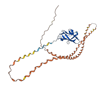 C1QTNF9B 3D structure