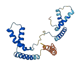 HMGB1P1 3D structure