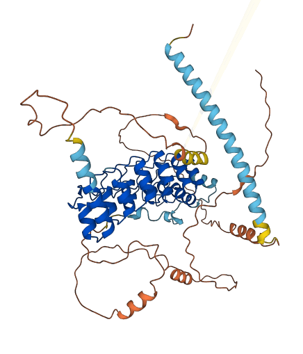 POTEC 3D structure