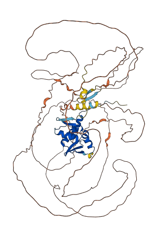 BTBD18 3D structure