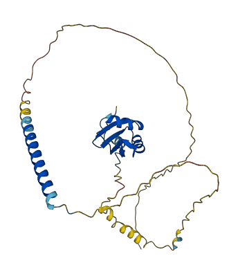 HNRNPCL2 3D structure