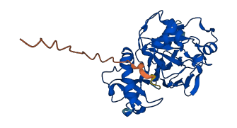 Fahd2 3D structure