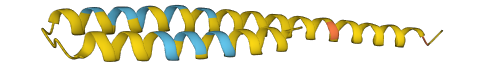 FAM25A 3D structure