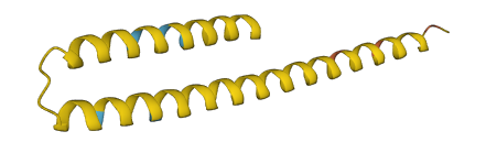FAM25G 3D structure