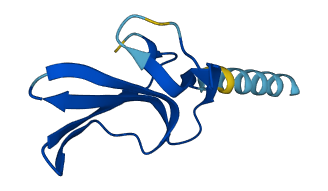 PATE3 3D structure