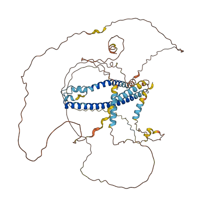 IQCJ-SCHIP1 3D structure
