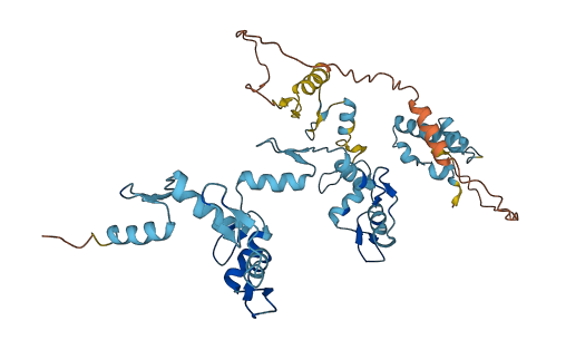 ZNF736 3D structure