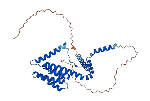 TCP11X1 3D structure