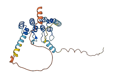 ANKRD66 3D structure