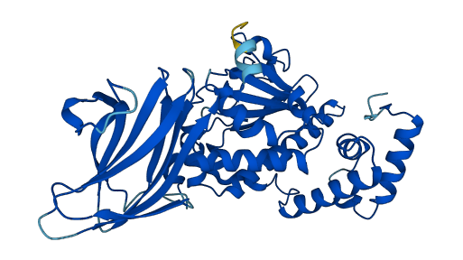 SEC14L6 3D structure