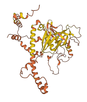 ERVV-1 3D structure