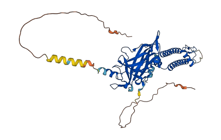 KCNJ18 3D structure