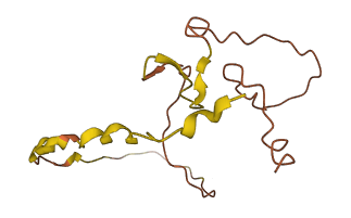 C10orf142 3D structure