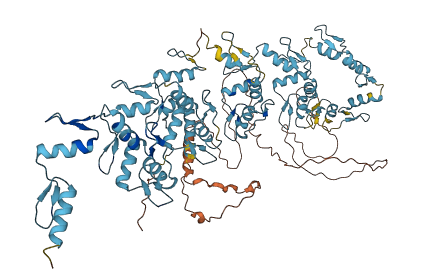 ZNF814 3D structure