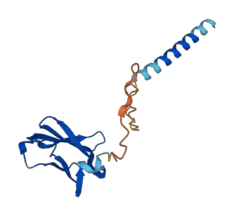 TRDC 3D structure