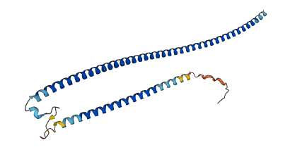 RABGAP1L 3D structure