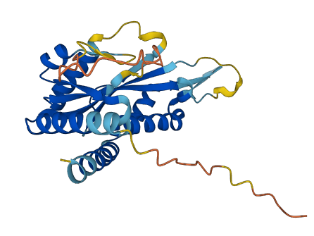 FAM243A 3D structure