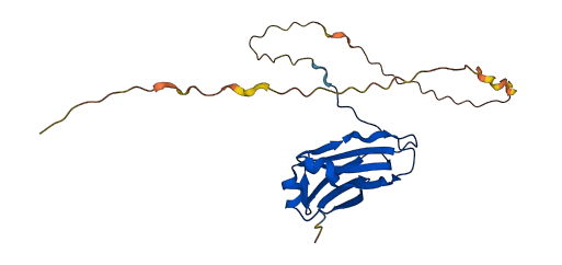 IGLL5 3D structure