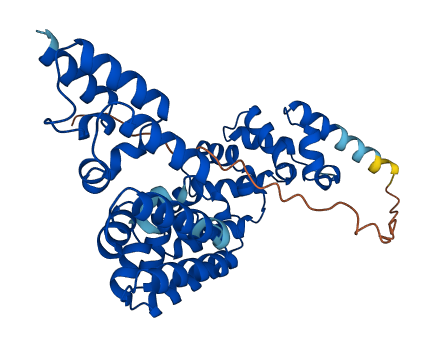 Mterf1b 3D structure
